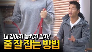 내 강아지 놓치지 말자! 줄 잘 잡는 방법｜내 강아지의 공격성 하이라이트