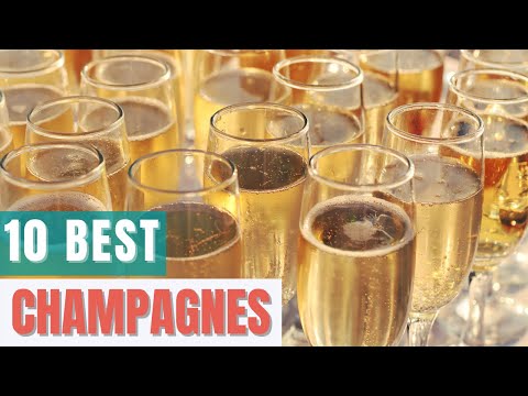 10 Best Champagnes