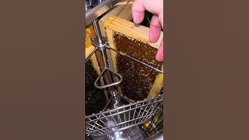 Loading Medium Frames in HillCo Honey Extractor E8