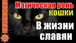 Роль КОТОВ в жизни Славян. Какой смысл в себе несет слово КОШКА?