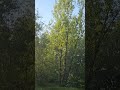23 мая 2025 г.