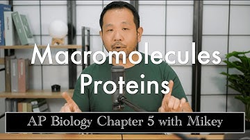 AP Biology: All you need to know about PROTEINS for Unit 1 with Mikey!