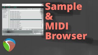 Reaper - Open Sample Browser / Media Explorer Profile
