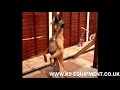 Spring Pole Kit by K9 EQUIPMENT UK - for Pitbull, Malinois, German Shepherds and more Spring Pole Kit by K9 EQUIPMENT UK - for Pitbull, Malinois, German Shepherds and more