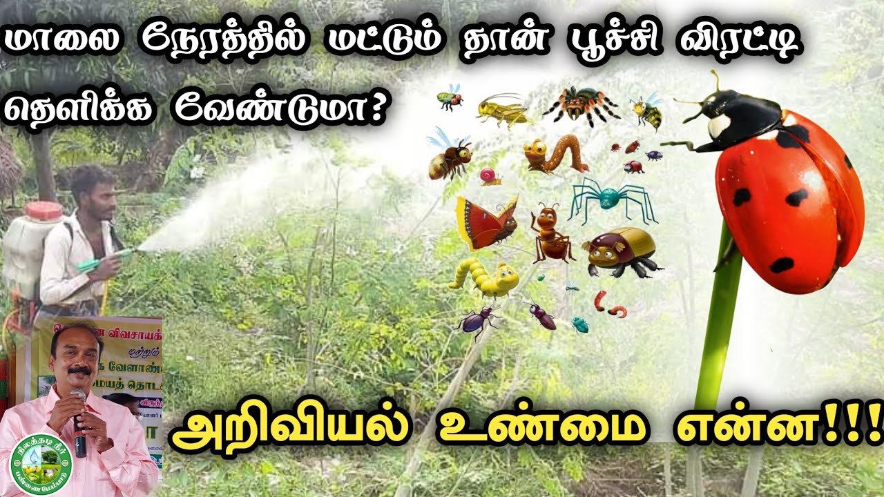 ஏன் மாலைநேரத்தில் மட்டும் பூச்சி விரட்டி தெளிக்க வேண்டும்? உண்மை என்ன!!