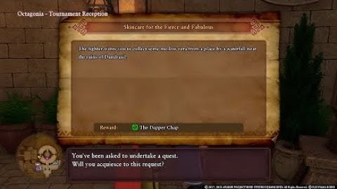 Dragon Quest 11 sidequest : Skincare for the Fierce and Fabulous