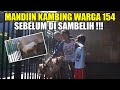 MANDIIN KAMBING SEBELUM DI POTONG !!!
