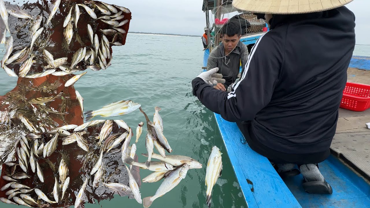 Nghề Bủa Câu Cá Ong,Cá Căng Cá Ăn Dính Câu Liên Tục Nhìn Thấy Ham - Dân Biển