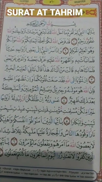 sedang menghafal surat At Tahrim Menggunakan metode Ummi