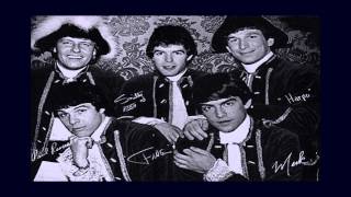 Watch Paul Revere  The Raiders Louie Go Home video