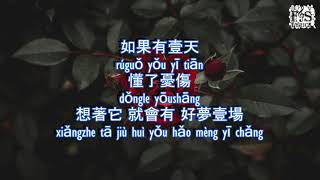 張小斐 ( Zhang xiao fei ) - 萱草花 ( xuan cao hua ) pinyin Lyrics ( Fs Lyrics )
