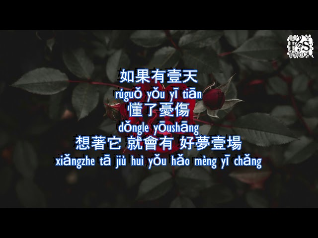 張小斐 ( Zhang xiao fei ) - 萱草花 ( xuan cao hua ) pinyin Lyrics ( Fs Lyrics ) class=