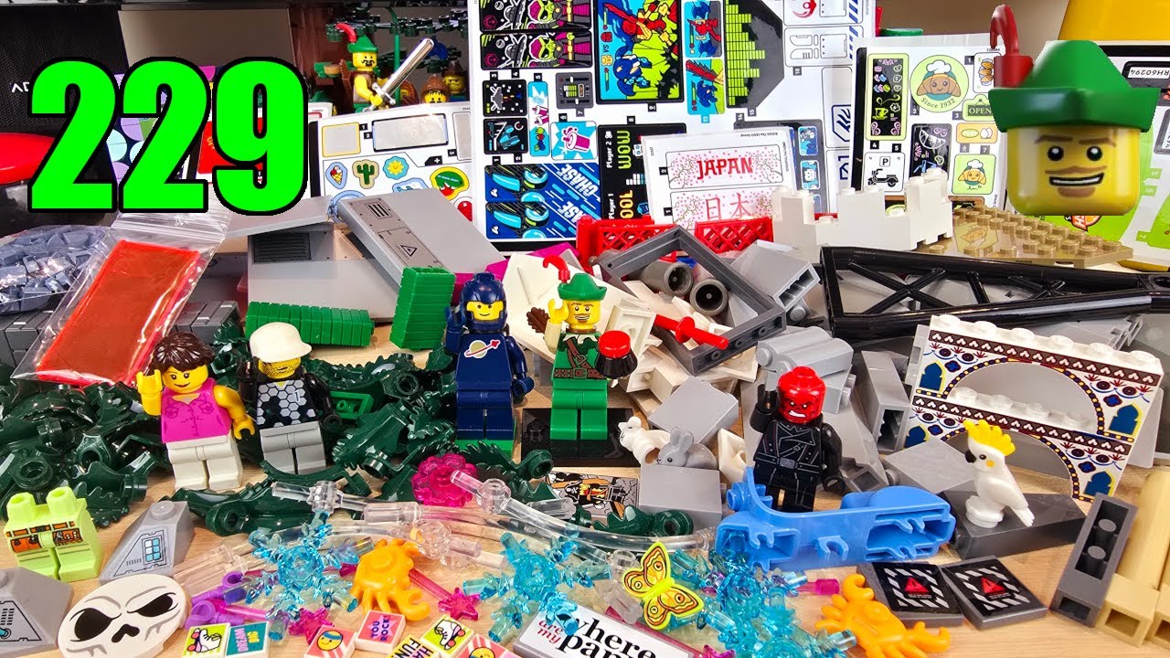 LEGO Brick Haul 229 - Brick Link & Subscriber! 📦🎁🏹