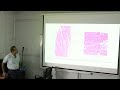 Lecture On Histology of Thyroid &amp; Adrenal Glands: Zones, Cells &amp; Functions | Anatomy | MBBS