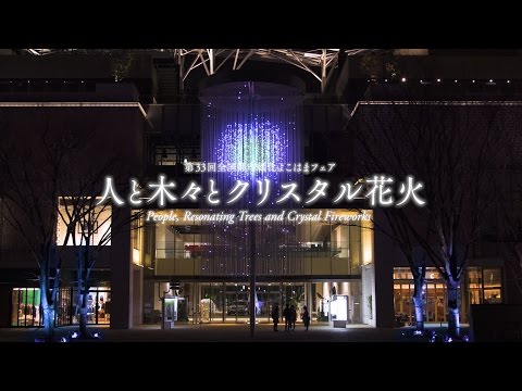 People, Resonating Trees and Crystal Fireworks / 人と木々とクリスタル花火