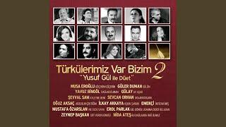 Dolanı Dolanı (Feat. Sevcan Orhan) Resimi