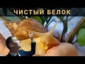 Русские бренды лучше продаются // Улитки - новая отрасль экономики // Предпринимательство молодеет