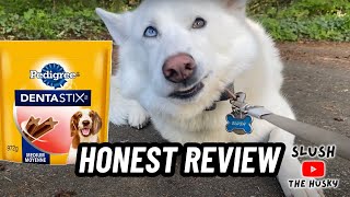 An Honest Pedigree Dentastix Review