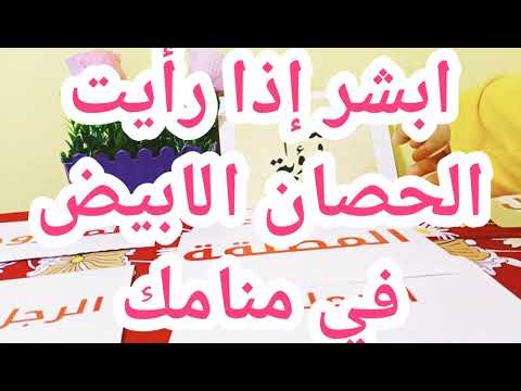 شاهدت الحصان الابيض في المنام فهل الرؤية حميدة