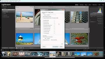 Find & Delete Duplicate Photos in Lightroom - Use a Free Plug-in to Identify & Flag Duplicates