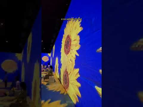 Vídeo: Quanto custa van gogh imersiva?