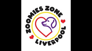 Zoomies Zone Liverpool - About Us