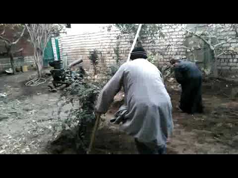 عيسى الفلاح يا علي خلي عندك نظر ههههههههههه 