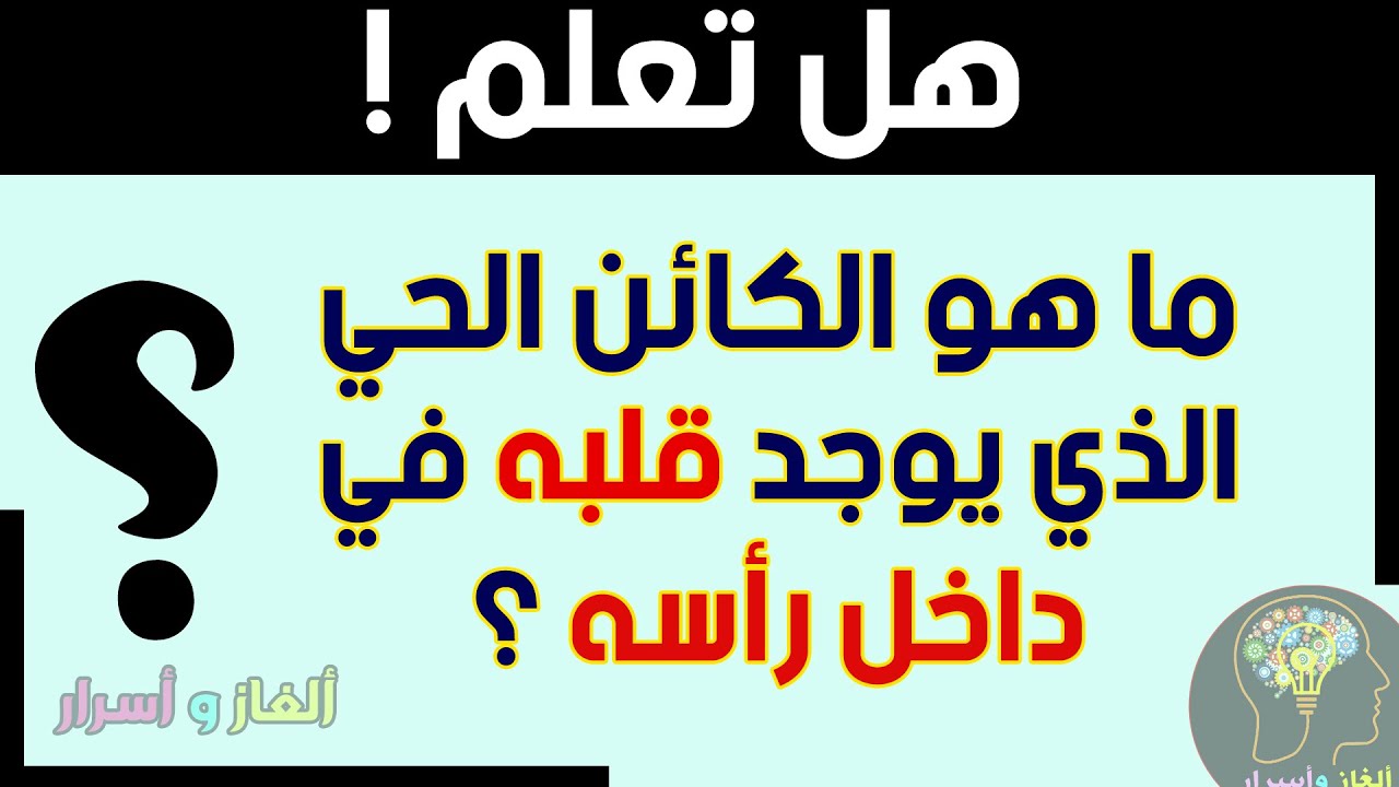 مسابقات اسئلة أسئلة ومسابقات