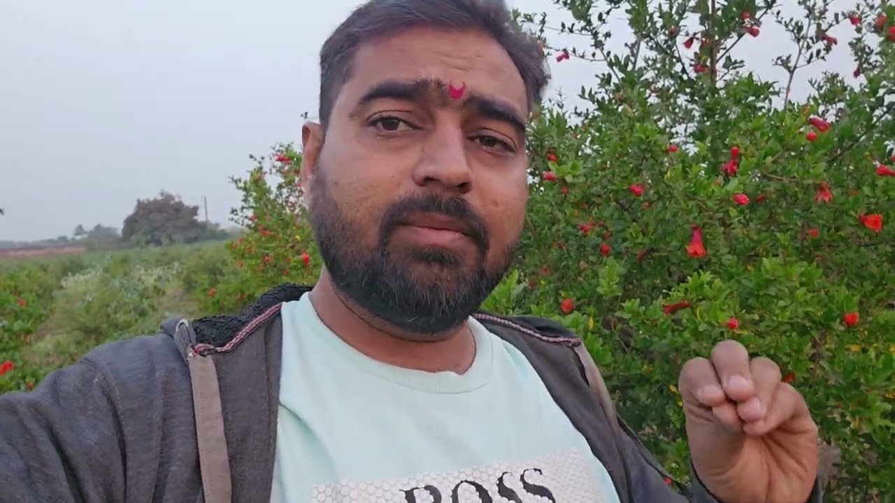 दोन वेळा नर निघाला आहे मादी कधी निघेल...?