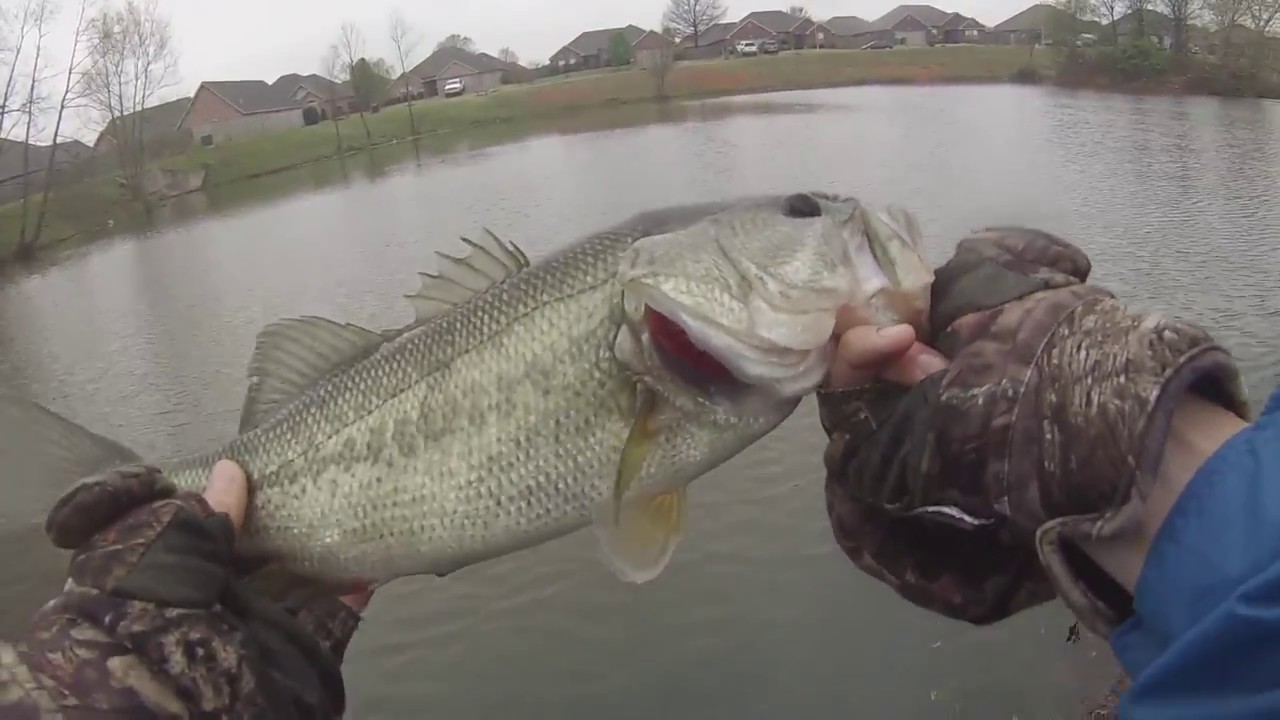 Lost A Nice BASS/!!!Bass Fishing With A $2 Spinner Bait 