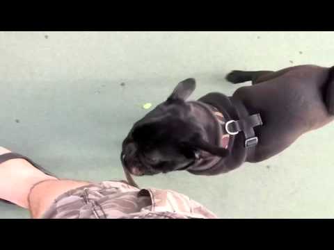 Watch this video
