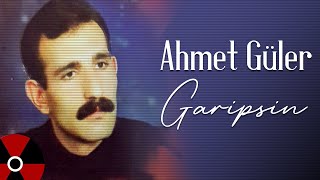 Ahmet Güler - Garipsin