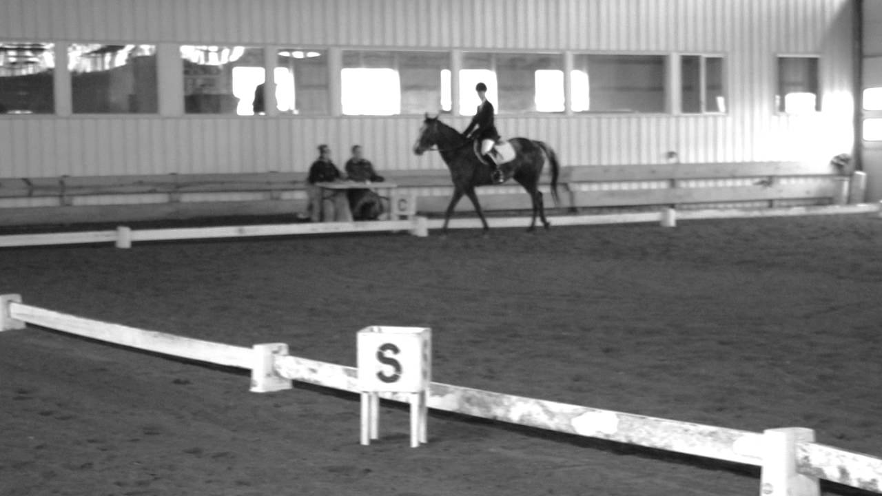 Dressage Training Level Test 2 Alex and Scuttle April 1, 2012 - YouTube