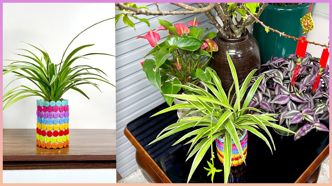 DIY aquatic plant pots from used plastic bottles, has a magical air