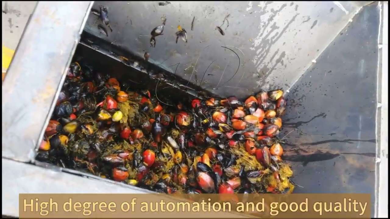 Henan Glory Convenient  Easy to Use Single Screw Palm Oil Press Equipment High Efficiency 500KG/Hour