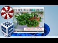 How to Install Peppermint OS on VirtualBox in Windows PC