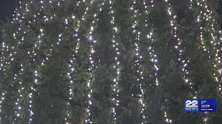 Springfield's Forest Park shines with annual tree lighting event