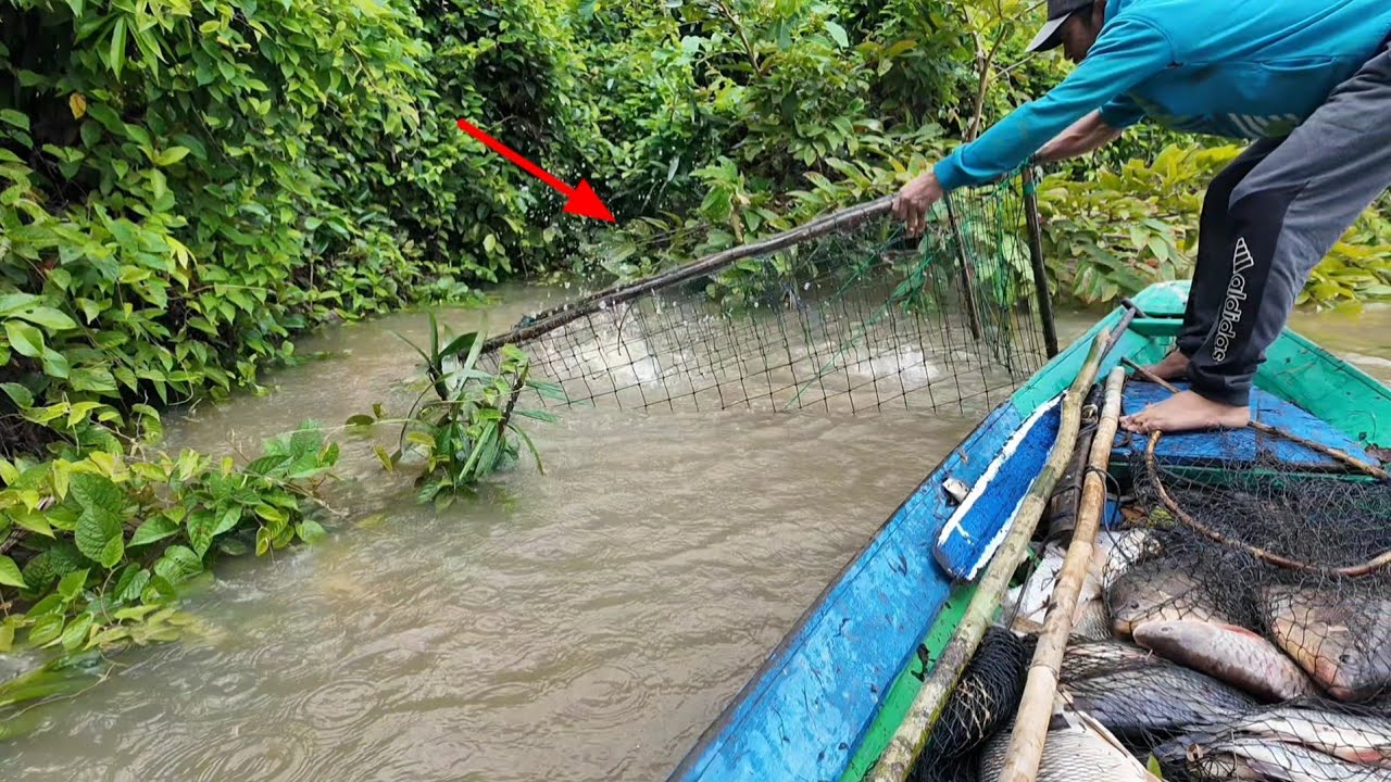 REJEKI MELIMPAH SAAT AIR SUNGAI INI SEDANG NAIK 
