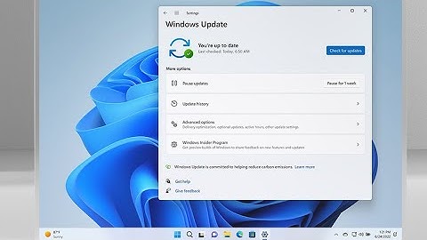 Fix Dev,etc  Channel and leave now from insider program in Windows Insider Program