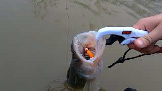 Sandusky Walleye Run 03/27/21