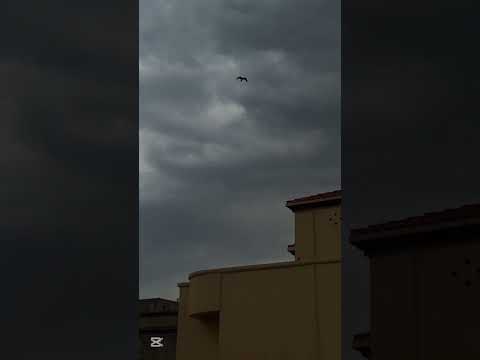 Gujrat Weather Today….new video #viralreels #viralvideo #viralshorts l