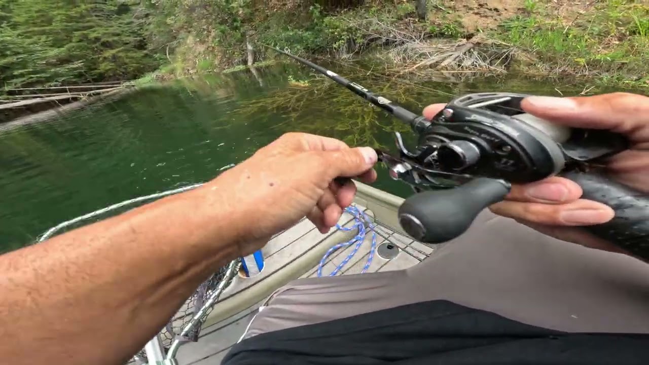 Rat 🐀Swimbait  helps me Find Better Bass