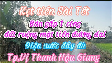 Kẹt tiền bán gấp 1 công đất ruộng mặt tiền đường dal điện nước đầy đủ Tp,Vị Thanh Hậu Giang