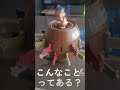 【奇跡】まさかの展開に大爆笑www
