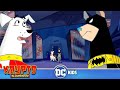 Krypto The Superdog en Latino | Haciendo equipo con el Batisabueso | DC kids