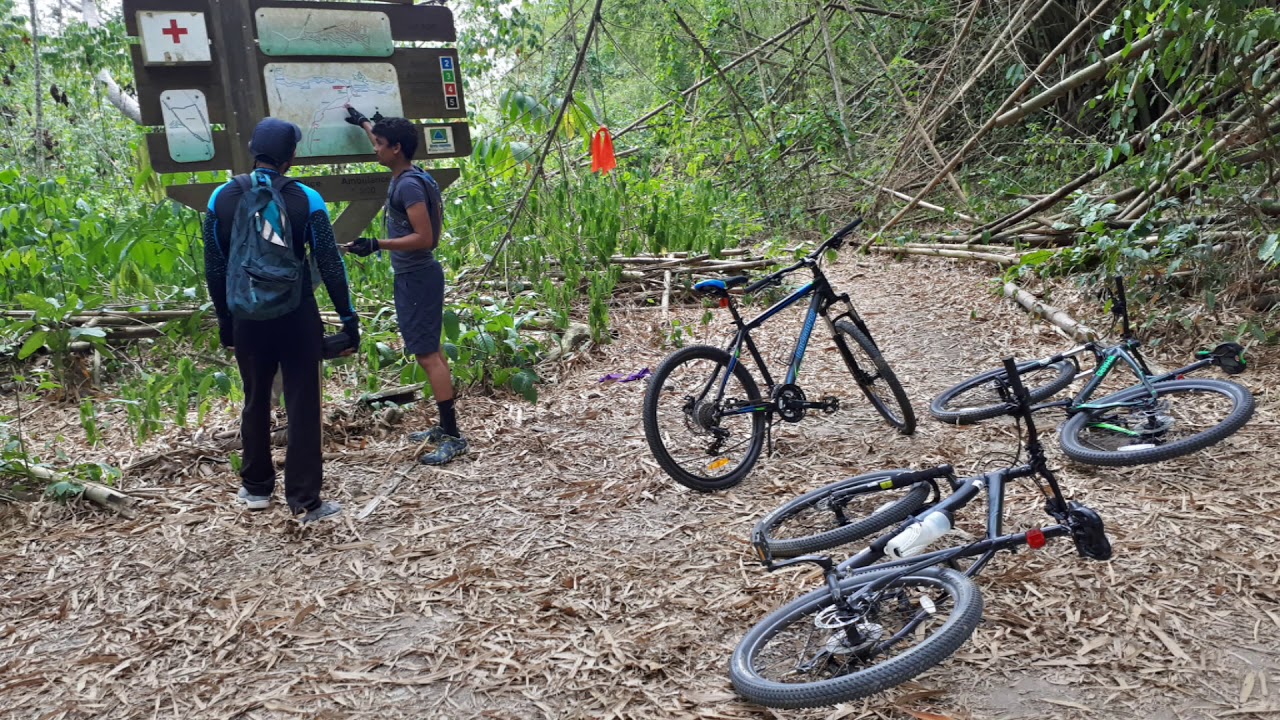 Maqueripe, Trinidad, North Bank Mountain Bike Trail Fuji Nevada YouTube