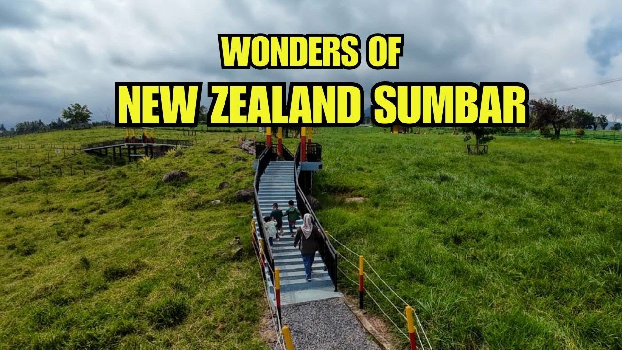 PETERNAKAN SAPI PADANG MENGATAS NEW ZEALAND NYA SUMATERA BARAT❗WISATA EDUKASI ANAK DI 50 KOTA