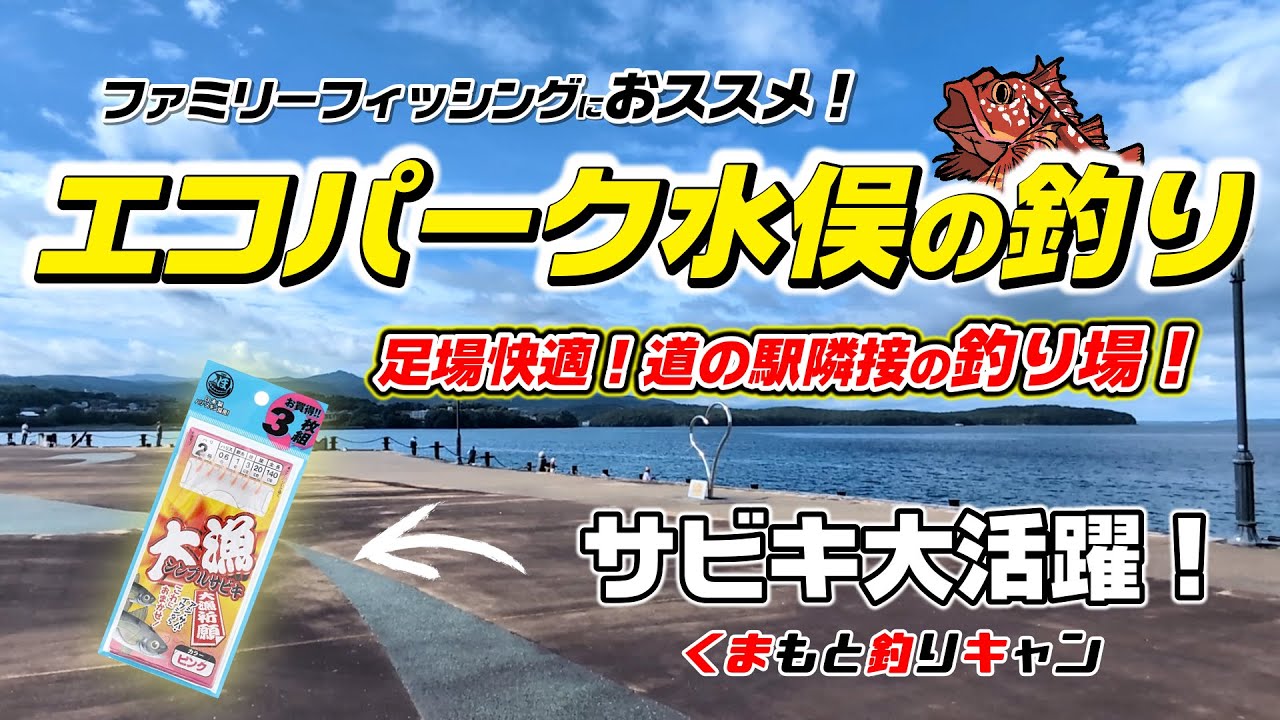 【水俣市エコパーク水俣の五目釣り】道の駅みなまた隣接のエコパーク水俣のファミリーフィッシング！サビキでまさかの良型と格闘！色んな仕掛けで五目釣りしてみた結果。#熊本釣り #水俣釣り #夏休み