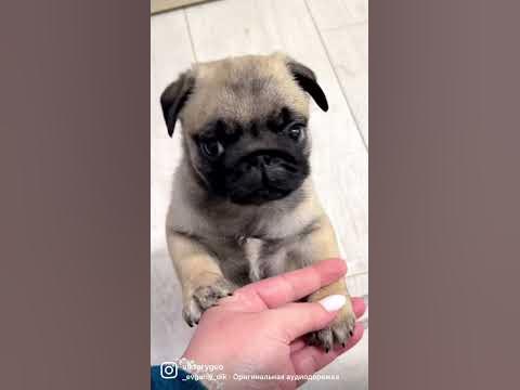Может поедим? 🥰😆🥰 - YouTube