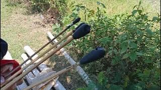 Tes Arrow peluit dari Kang Rashid Kurniawan bowyer Hornbow